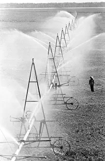 Stavropol: Irrigation in Stavropol, 1980