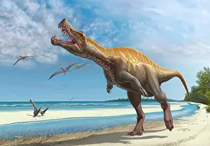 Spinosaurid: Irritator challengeri lets out a loud roar while walking ?