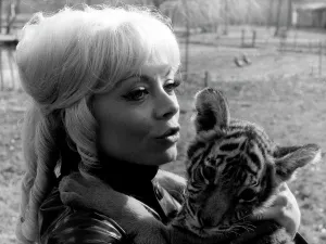 Aubert: Isabelle Aubret and her pet tiger cubs