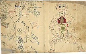 Physiological: Islamic Anatomical Drawings, 17th Century