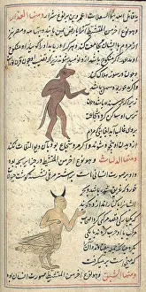 Harpy: Islamic Demons, 18th Century