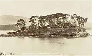 Tasman: The Island of the Dead