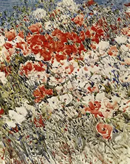 Childe: The Island Garden