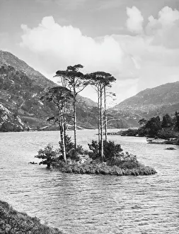 Canopied: ISLAND ON LOCH EILT