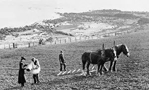 Crofter: Isle of Arran - Sowing Corn - Victorian period