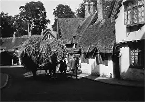 Haycart: ISLE OF WIGHT/SHANKLIN