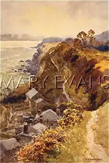 Steephill: ISLE OF WIGHT/STEEPHILL
