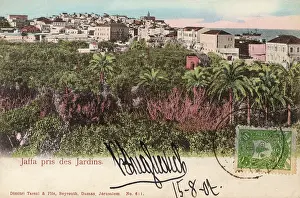 Plam: Israel - Jaffa - Close to the Gardens