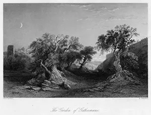 Gethsemane: ISRAEL JERUSALEM