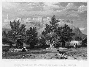 Gethsemane: ISRAEL JERUSALEM