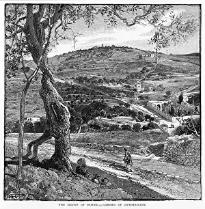 Gethsemane: ISRAEL JERUSALEM