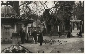 Camii: Istanbul, Turkey - Pigeons in the courtyard of a Mosque