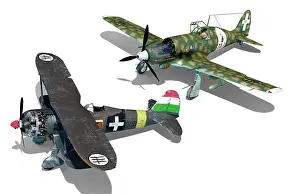 Falco: Two Italian fighter planes used during WWII, the