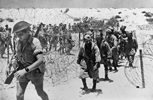 Lcgr1310: Italian and German prisoners of war captured in