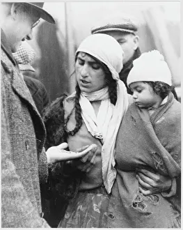 Plaits: ITALIAN IMMIGRANT/LONDON