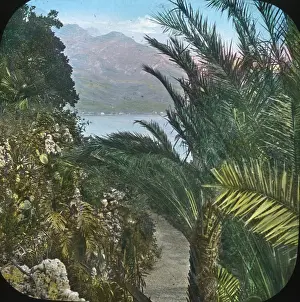Bordering: Italian Lakes - Tropical plants