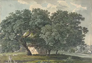 Recto: Italian Landscape with Trees (recto), 1815?21