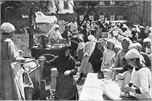 Intervened: ITALIAN RED CROSS
