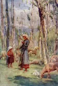 Favoured: ITALIAN SHEEP GIRL