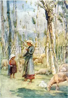 Distaff: ITALIAN SHEEP GIRL