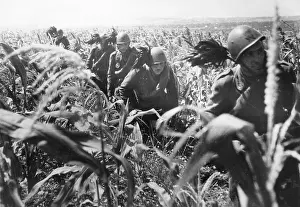 Bersaglieri: Italian soldiers on the Eastern Front, 1941