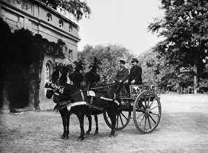 Bought: Italian transport cart