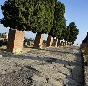 Cobble: Italica