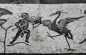 Nerva: Italica