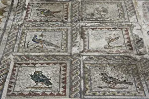 Nerva: Italica