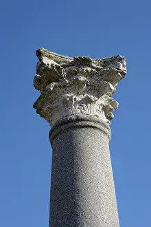 Nerva: Italica