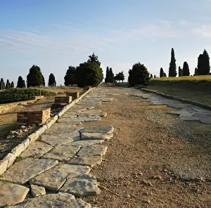 Cobble: Italica