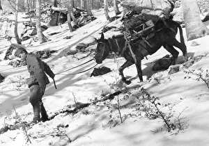 Difficult: Front in Italy, 1943