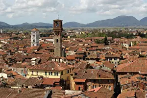 Lucca: Italy. Lucca. Panorama