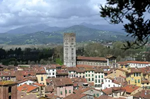 Lucca: Italy. Lucca. Panorama