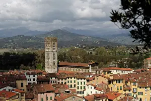 Lucca: Italy. Lucca. Panorama