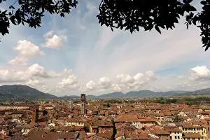 Lucca: Italy. Lucca. Panorama