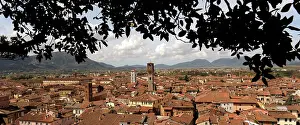 Lucca: Italy. Lucca. Panorama