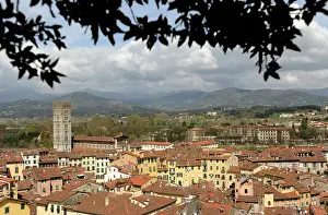 Lucca: Italy. Lucca. Panorama