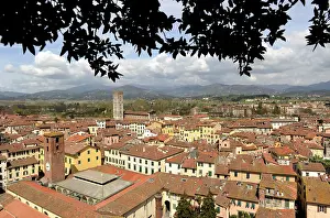 Lucca: Italy. Lucca. Panorama