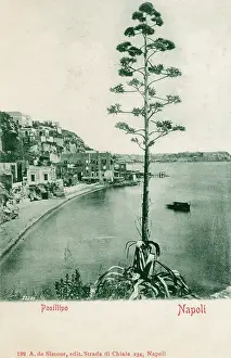 Posillipo: Italy - Naples - Posillipo