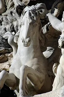 Clement: Italy. Rome. Fontana di Trevi. 18th century. Sea horse