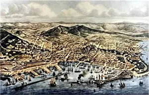 Envisaged: ITALY/TRIESTE 1880