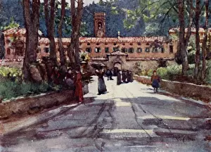 Gualberto: ITALY/VALLOMBROSA 1905