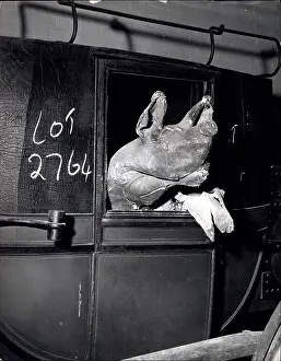 Gradually: Items ready for auction, Denham Film Studios