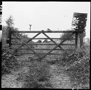 Hinge: Items resting on top of a wooden gate on a trackway