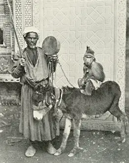 Itinerant: Itinerant musician with monkey and donkey, Cairo, Egypt