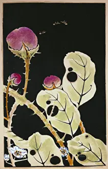 Aubergine: Ito Jakuchu (1716 - 1800