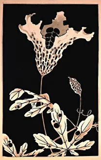 Yoka: Ito Jakuchu (1716 - 1800