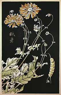 Yoka: Ito Jakuchu (1716 - 1800