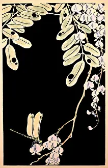 Wisteria: Ito Jakuchu (1716 - 1800